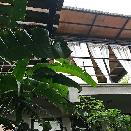 La Flor Casa Boutique Bed & Breakfast Valladolid  Dış mekan fotoğraf